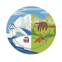 Тарелка одноразовая мелкая d230 мм, диз. "Север-Юг", карт. ламин., 6 шт/упак "МИСТЕРИЯ" 432 шт/кор РОССИЯ