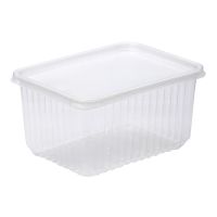 Контейнер прямоугольный 179х132х93мм, 1500 мл, полупрозрачный